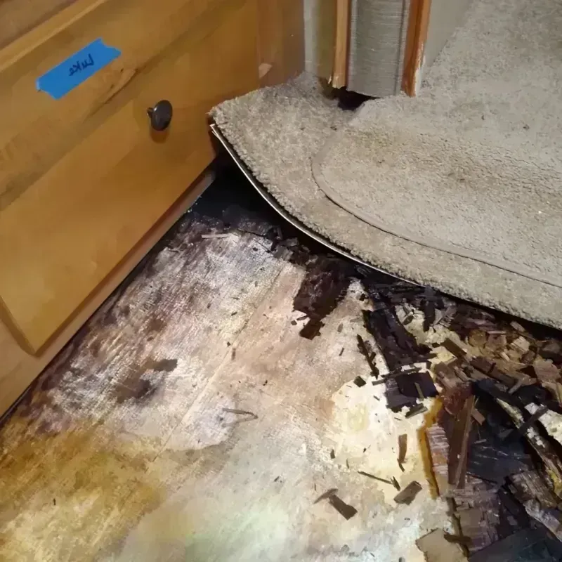 Wood Floor Water Damage in Shorewood, WI